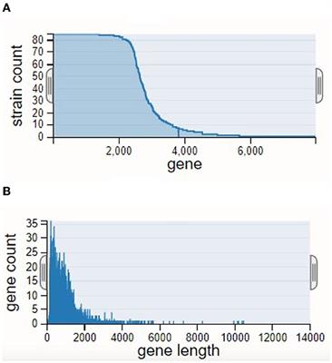 Comparative genomics of food-derived probiotic Lactiplantibacillus plantarum K25 reveals its hidden potential, compactness, and efficiency